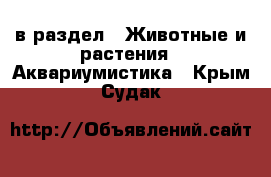  в раздел : Животные и растения » Аквариумистика . Крым,Судак